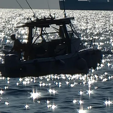 Morosinibrandolinvenice *